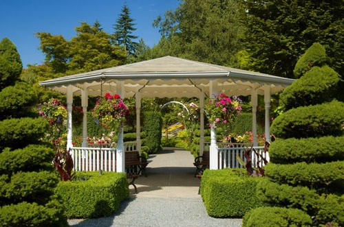 Natürlich begrünte Pergola mit Rankpflanzen als lebendiger Sonnenschutz